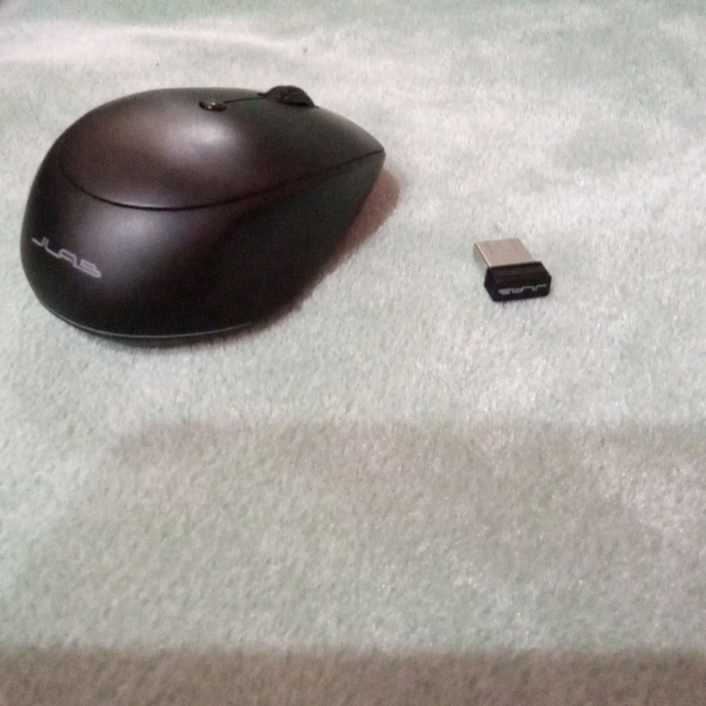 A New mouse